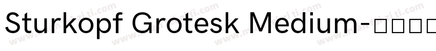 Sturkopf Grotesk Medium字体转换